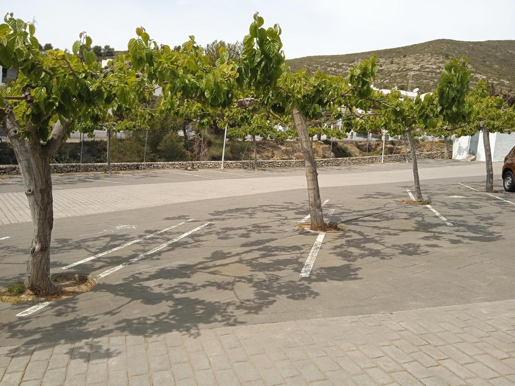 Apartamentos Tierra De Irta 3000 Peñíscola Exteriér fotografie
